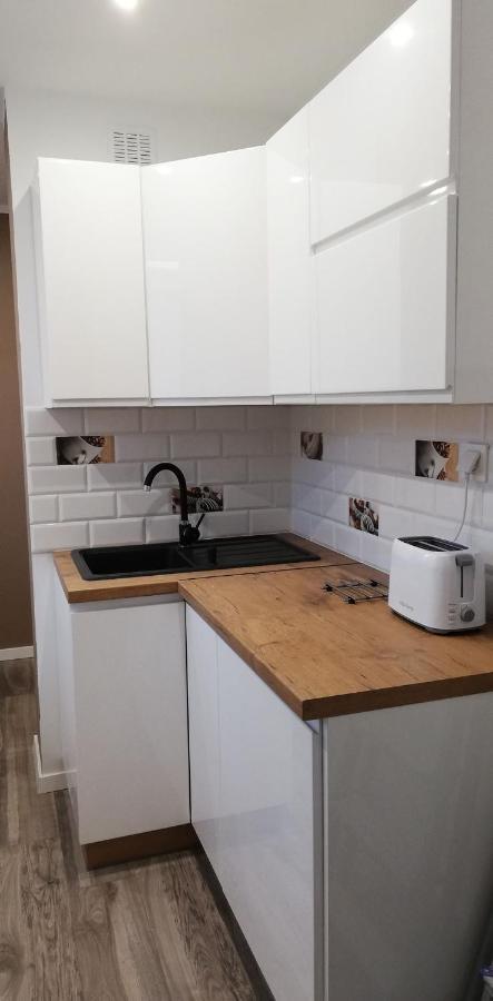 Апартаменты Apartament U Krzyzaka Мальборк Экстерьер фото